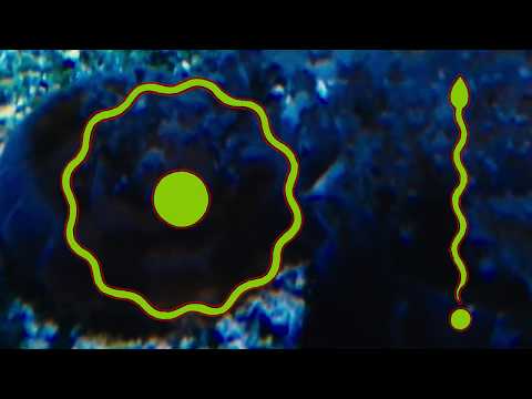 Zongamin - High Tension