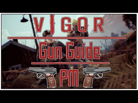 Vigor Gun Guide: PM