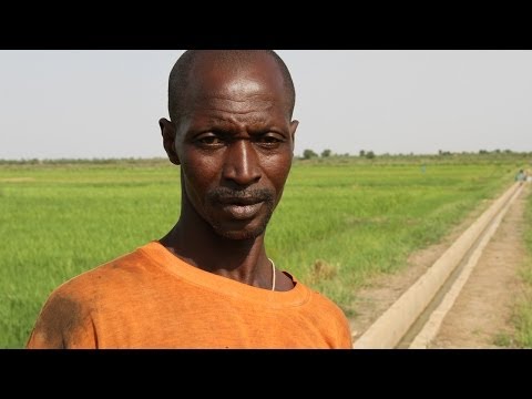 Increase food production and security in Mali