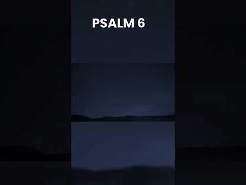 Witness21  2022 11 25