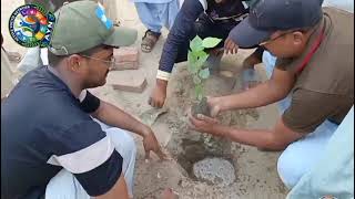 Plantation on 14-08-2026 @AYN #ActiveYouthNetwork #GreenVillageInitiative 