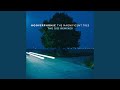 Pink Fluffy Dinosaurs (The Magnificent Tree - The 2025 Remixes)