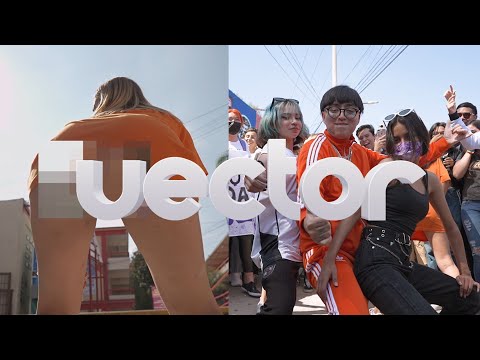 Vector - Dani Flow (Official Video)