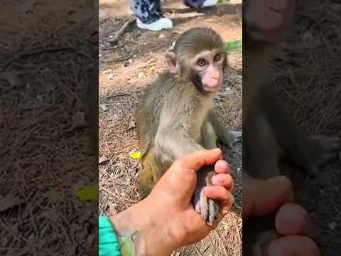 ⏳Wait for the moment he realizes…