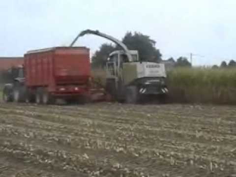 Quintyn: Mais hakselen.