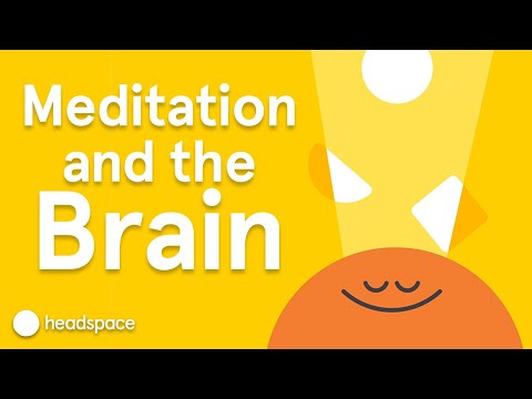 Meditation's Impact on the Brain | Expert Videos