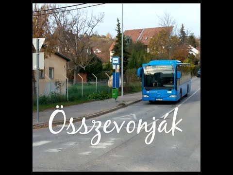 Holnaptól MEGSZŰNIK ez a két járat és ÚJ viszonylat SZÜLETIK Békáson! |Online Fm's Road Show #119|