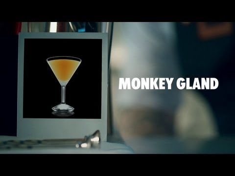 MONKEY GLAND DRINK RECIPE - HOW TO MIX