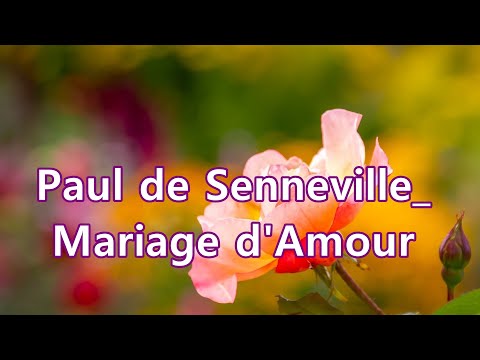 Paul de Senneville _  Mariage d'Amour  /  Relaxating 1 hour