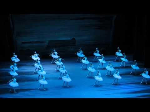 Ruslan Skvortsov / Nikolai Tsiskaridze - Swan Lake