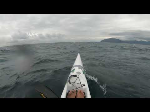 Surfski 40km di downwind Sestri L - Genova Nervi