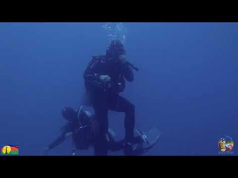 Nova Caledônia - Ilha de Pines - Kunie Scuba Dive - 4 de janeiro de 2023 primeiro mergulho - Kasmira