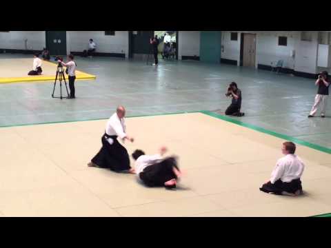 Sakurai Hiroyuki Shihan - 53rd All Japan Aikido Demonstration (2015)