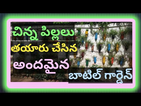 Nurturing Nature: A Garden Made with Love