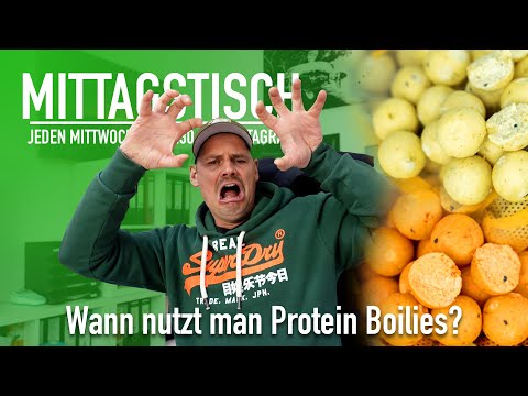 🇺🇦 🎣  Protein Boilies richtig einsetzen | Scharfe Köder 🌶 | Mittagstisch #49