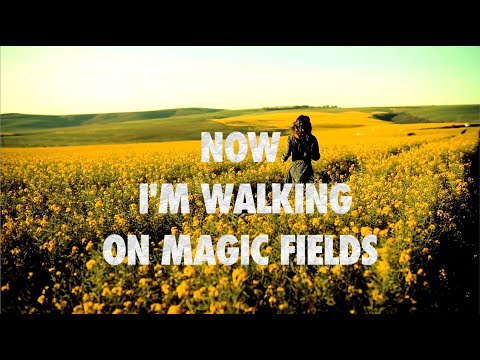 NaXwell, DJ Combo & X-Perience - Magic Fields (Official Lyric Video HD)