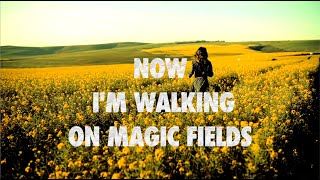 NaXwell, DJ Combo &amp; X-Perience - Magic Fields (Official Lyric Video HD)