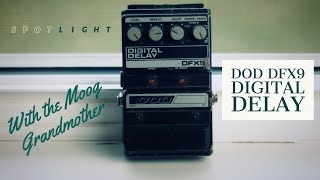 DOD DFX9 Digital Delay - What To Know & Where To Buy