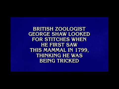 Jeopardy! - Matt Amodio - Day 38 - 10/8/21 - Final Jeopardy
