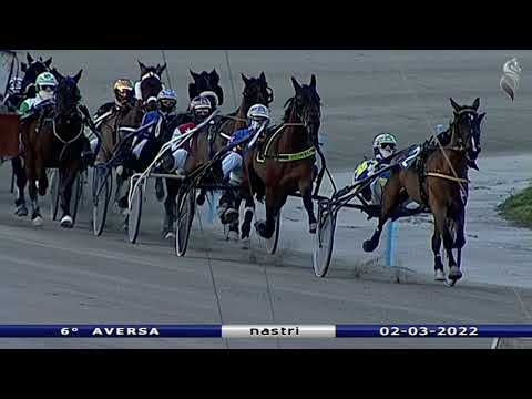 Aversa trotto 2 Marzo 2022 - 6° Corsa