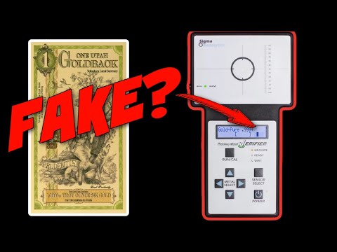 My Coin Shop Owner Tests Gold: Is This FAKE Gold?