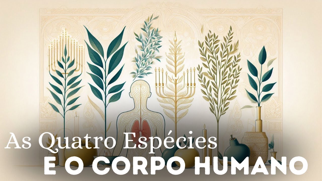AS QUATROS ESPÉCIES E OS QUATRO ORGÃOS DO CORPO