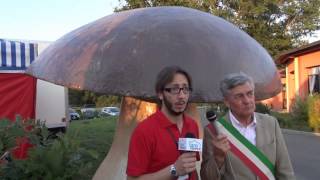 preview picture of video 'Fiera Nazionale del Fungo Porcino Albareto PR interviste 06 09 2013'