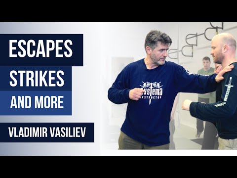 Escapes, Strikes and more  by Vladimir Vasiliev 2006