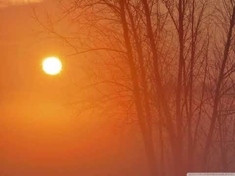 NATUR - Poisonoise Music - Episode 110 (Dub Techno/Atmospheric) 🇧🇷