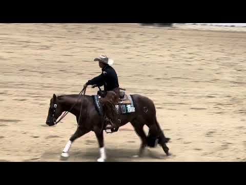Taylor Sheridan at the Run for the Million Qualifier Event in Las Vegas August 16, 2024