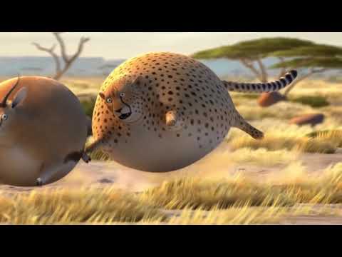 Komik ve Şişman Hayvanlar - Çizgi Film / Çocuklar İçin