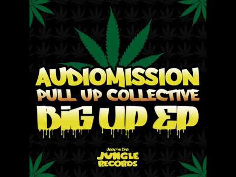 Audiomission & Pull up collective _  Live and Let Live