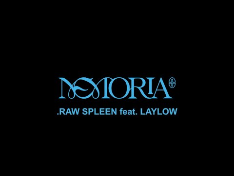 Jazzy Bazz - .RAW Spleen feat. Laylow (audio)
