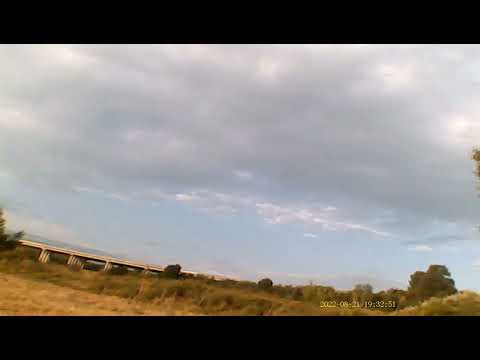 лов на гривяк