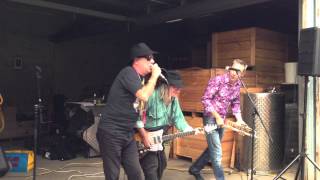 Painters and Dockers "You Wanted Elvis" (but you got me instead)