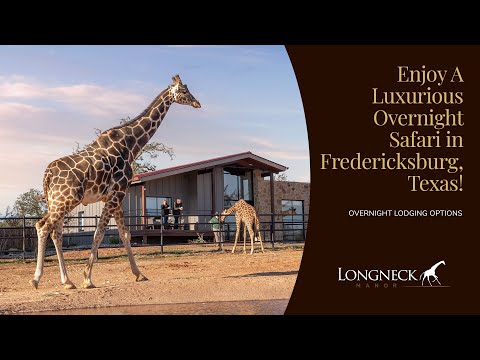 Longneck Manor Texas