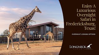 A Luxurious Overnight Safari in Texas