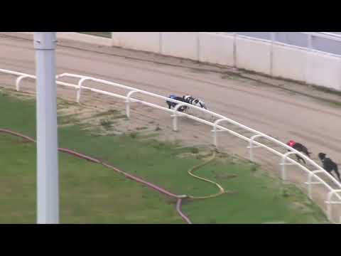 H1 semi Romeo Magico