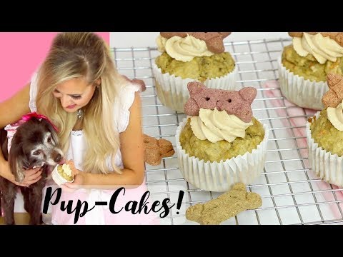 download lagu mp3 mp4 Dog Treat Cupcake Recipes, download lagu Dog Treat Cupcake Recipes gratis, unduh video klip Dog Treat Cupcake Recipes