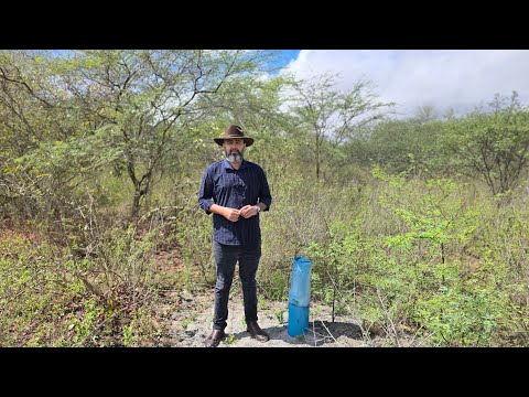 Fazenda á venda em Juazeirinho-PB, medindo 120 hectares, Valor R$ 499.000,00