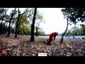 Viral Video Lucu Aksi Gila Orang Gila, terbaru!