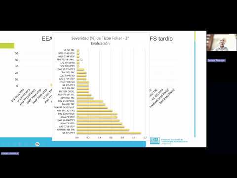 Relevamiento sanitario y de daños en maíz. Red INTA Marcos Juárez. Campaña 2024/2025