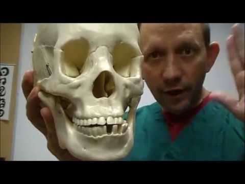 TMJ tricks tips and secrets