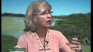 Robin Knox on Maui Sewage Injection Wells