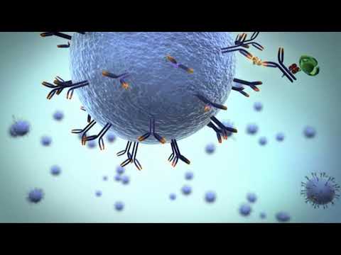 Simoa Bead Technology