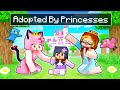 Adopted By PRINCESSES In Minecraft!