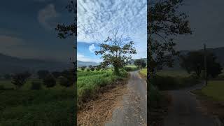 Jeff Lynne - September Song