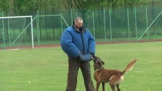 preview picture of video 'Diensthundevorführung bei der Bundespolizei in Oerlenbach'