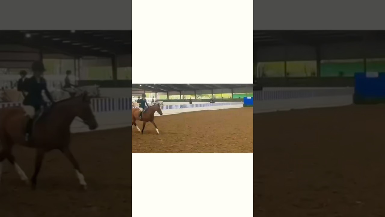 Last weekend at Pin Oak! Had so much fun! Placed 1,1,2,4,4,5. Can’t wait for next weekend!🐴🥇