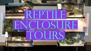 REPTILE ENCLOSURE TOURS!
